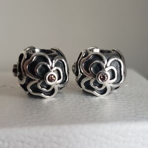 Pandora Posey Charms